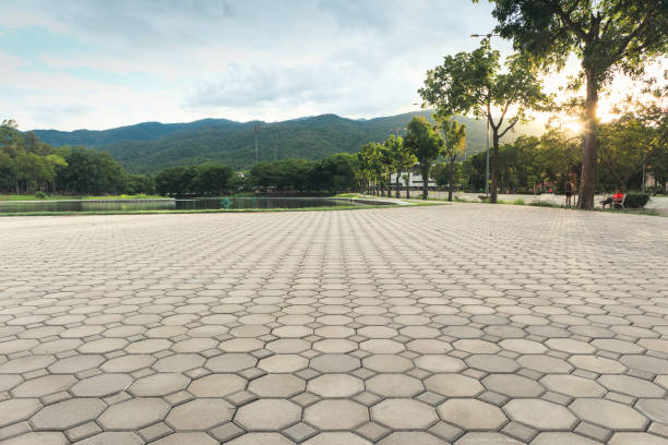 Best Concrete Paver Driveway  in Iyanbito, NM