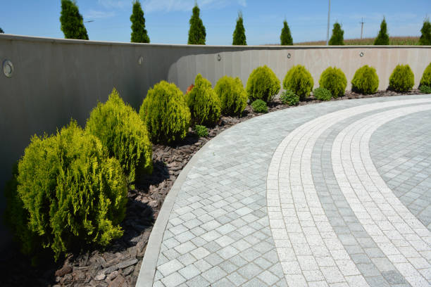 Reliable Iyanbito, NM Driveway Pavers Solutions
